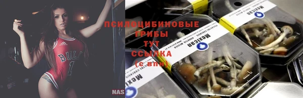 гидропоника Алексин