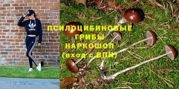 прущие крисы Алзамай