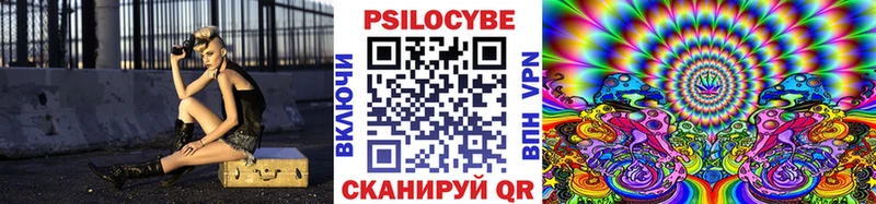 Псилоцибиновые грибы Cubensis  купить закладку  Калач-на-Дону 