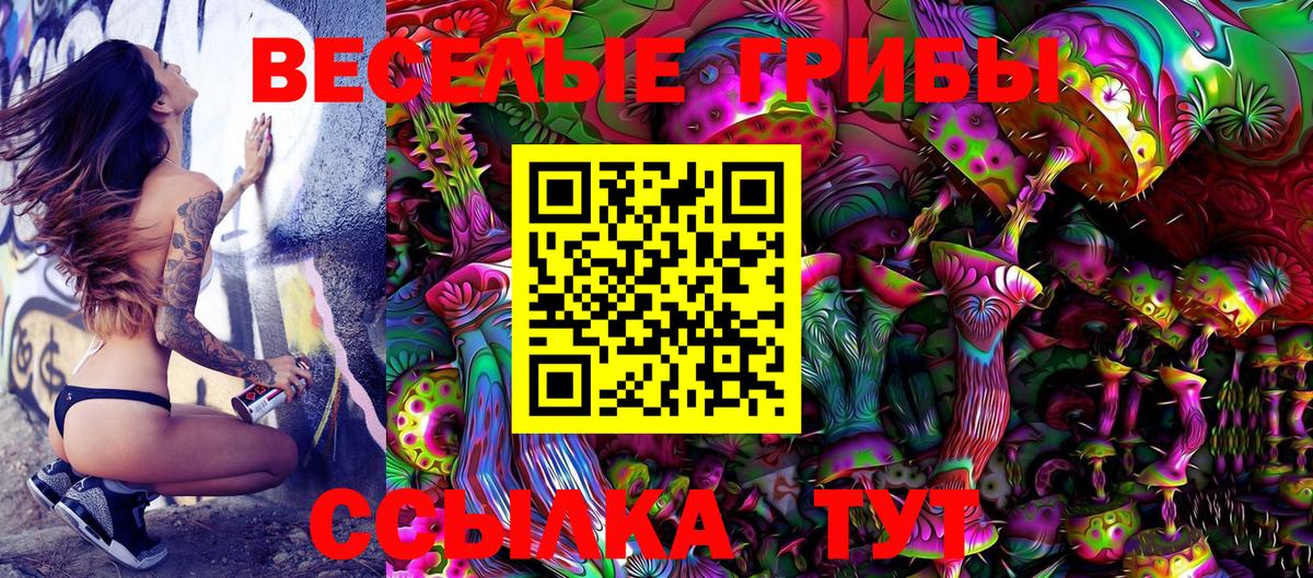 Галлюциногенные грибы Psilocybine cubensis Калач-на-Дону