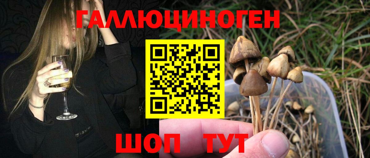 Калач-на-Дону  Галлюциногенные грибы Psilocybe  Вход с VPN 